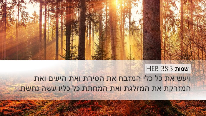 שמות 38:3 HEB Bible Verse Image