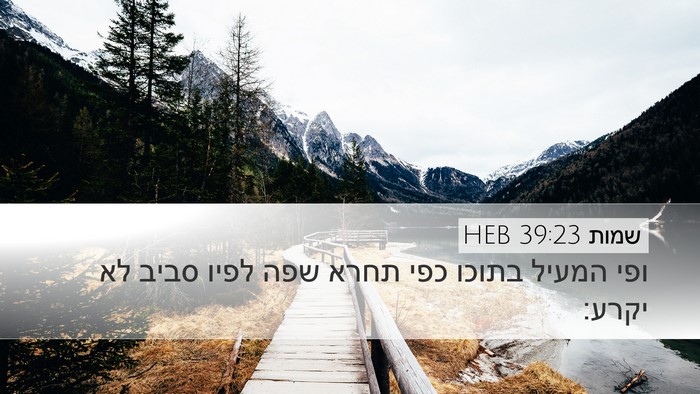 שמות 39:23 HEB Desktop Wallpaper - ופי המעיל בתוכו כפי תחרא - Desktop Bible Verse Wallpaper