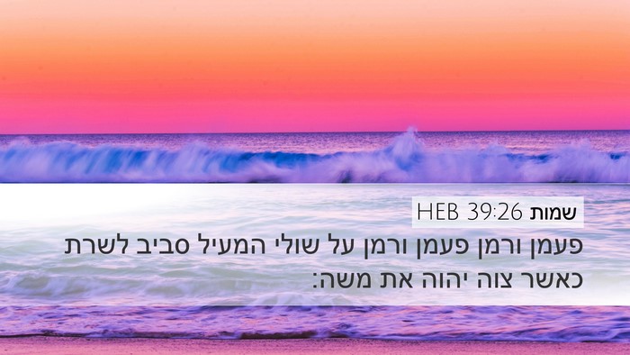 שמות 39:26 HEB Bible Verse Image