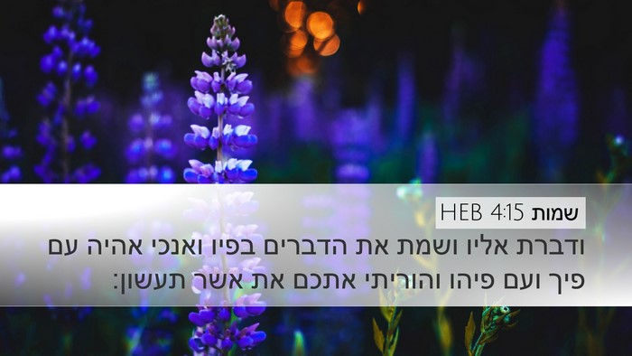 שמות 4:15 HEB Bible Verse Image
