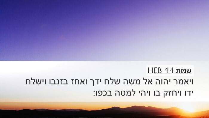 שמות 4:4 HEB Bible Verse Image