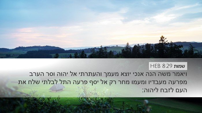 שמות 8:29 HEB Bible Verse Image