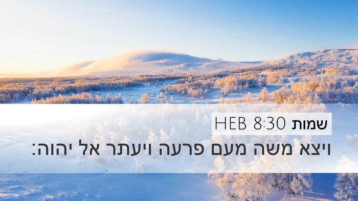 שמות 8:30 HEB Bible Verse Image