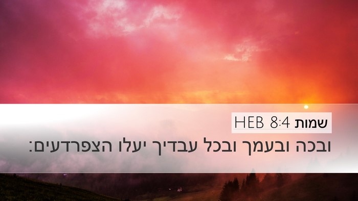 שמות 8:4 HEB Desktop Wallpaper - ובכה ובעמך ובכל עבדיך יעלו - Desktop Bible Verse Wallpaper