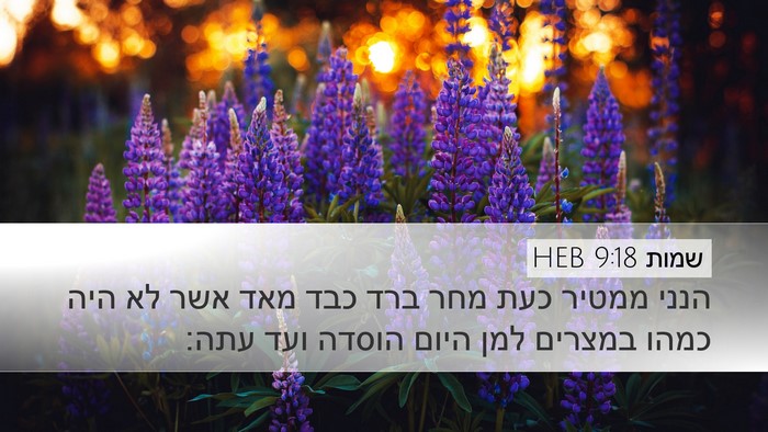 שמות 9:18 HEB Bible Verse Image