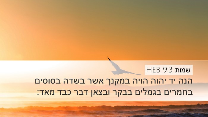 שמות 9:3 HEB Bible Verse Image