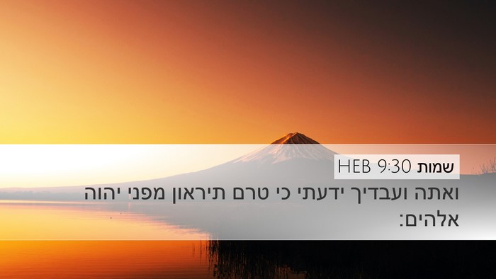 שמות 9:30 HEB Desktop Wallpaper - ואתה ועבדיך ידעתי כי טרם - Desktop Bible Verse Wallpaper