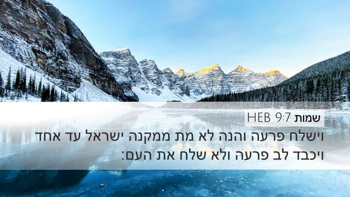 שמות 9:7 HEB Desktop Wallpaper - וישלח פרעה והנה לא מת ממקנה - Desktop Bible Verse Wallpaper