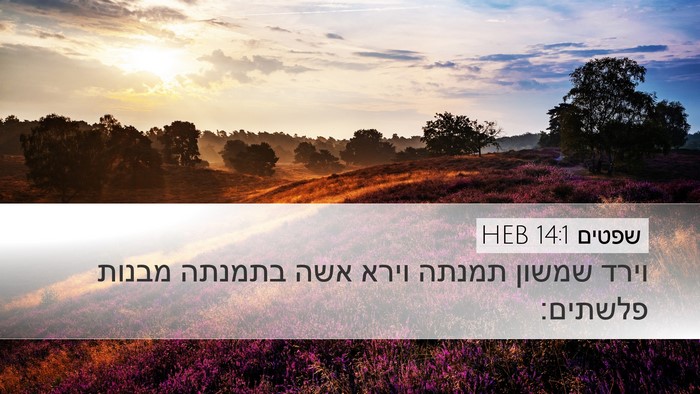 שפטים 14:1 HEB Bible Verse Image