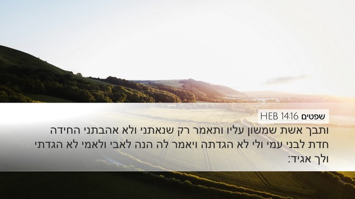 שפטים 14:16 HEB Bible Verse Image