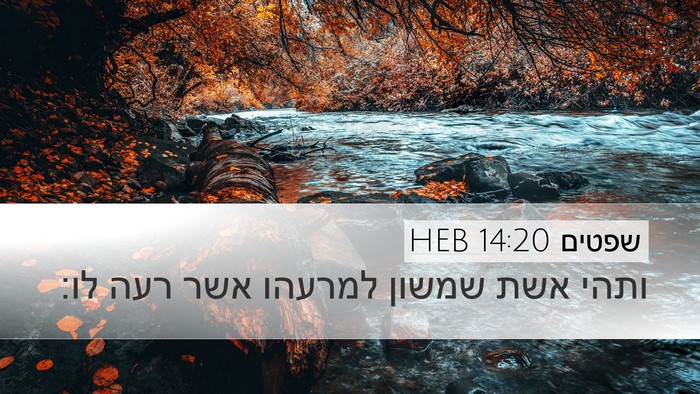 שפטים 14:20 HEB Bible Verse Image