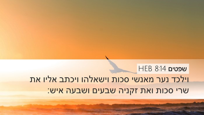 שפטים 8:14 HEB Bible Verse Image