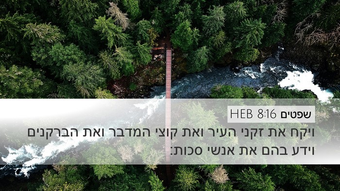 שפטים 8:16 HEB Bible Verse Image