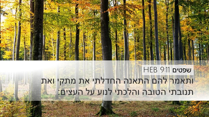 שפטים 9:11 HEB Desktop Wallpaper - ותאמר להם התאנה החדלתי את - Desktop Bible Verse Wallpaper