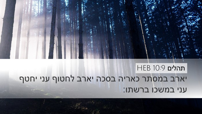 תהלים 10:9 HEB Bible Verse Image