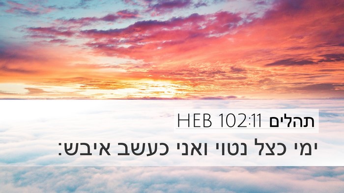 תהלים 102:11 HEB Bible Verse Image