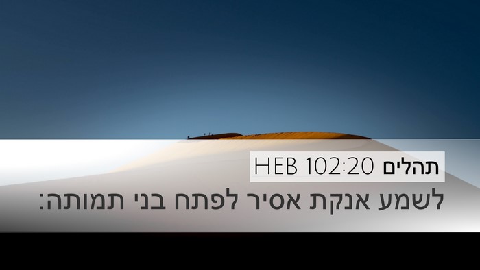 תהלים 102:20 HEB Bible Verse Image