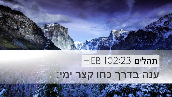 תהלים 102:23 HEB Bible Verse Image