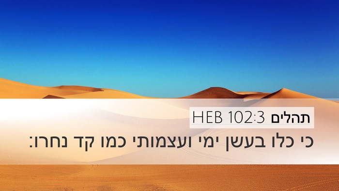 תהלים 102:3 HEB Bible Verse Image
