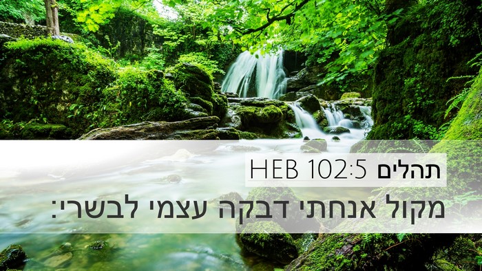 תהלים 102:5 HEB Bible Verse Image