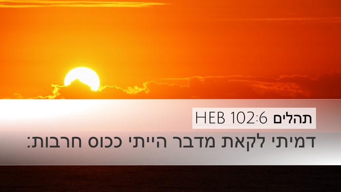 תהלים 102:6 HEB Bible Verse Image