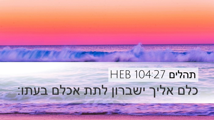 תהלים 104:27 HEB Bible Verse Image