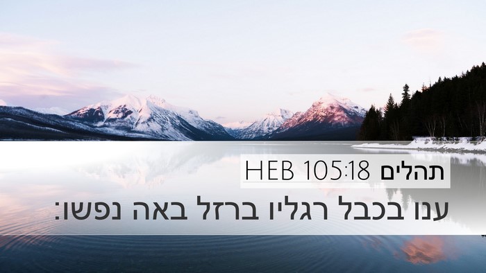 תהלים 105:18 HEB Bible Verse Image