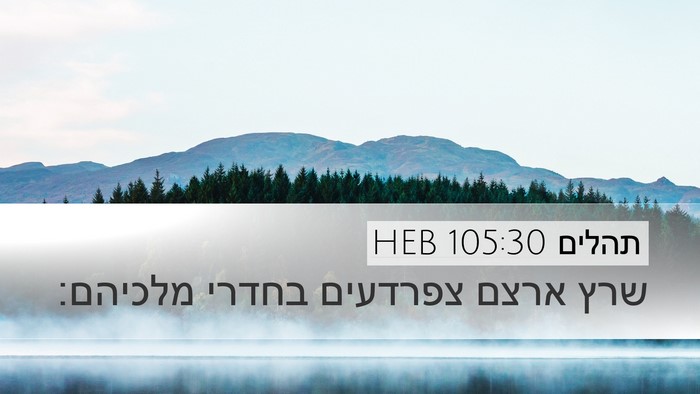 תהלים 105:30 HEB Bible Verse Image
