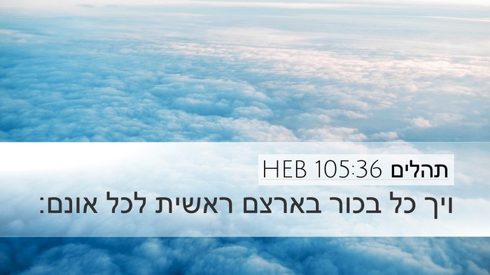 תהלים 105:36 HEB Bible Verse Image