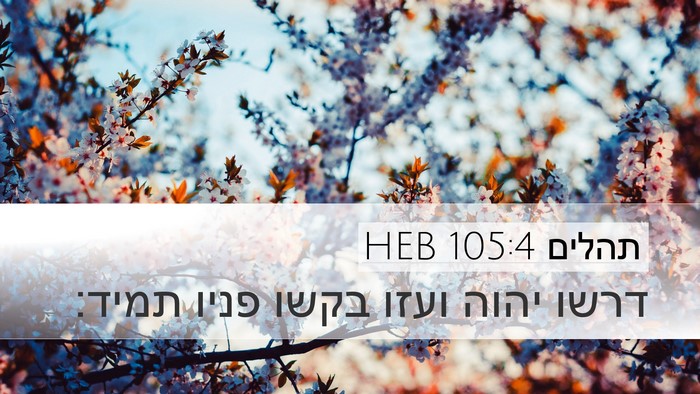 תהלים 105:4 HEB Bible Verse Image