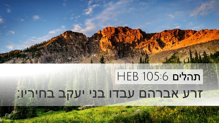 תהלים 105:6 HEB Bible Verse Image