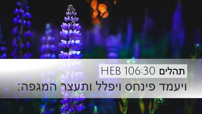 תהלים 106:30 HEB Bible Verse Image
