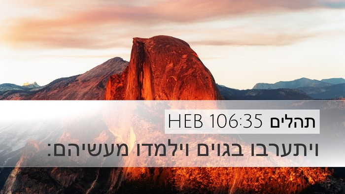 תהלים 106:35 HEB Bible Verse Image