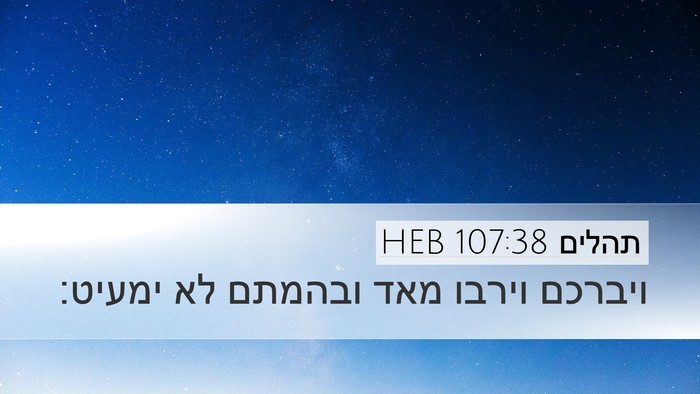 תהלים 107:38 HEB Desktop Wallpaper - ויברכם וירבו מאד ובהמתם לא - Desktop Bible Verse Wallpaper