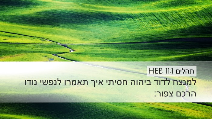 תהלים 11:1 HEB Bible Verse Image