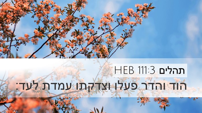 תהלים 111:3 HEB Bible Verse Image
