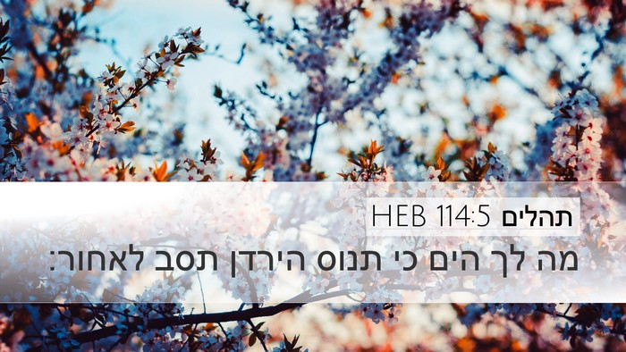 תהלים 114:5 HEB Bible Verse Image