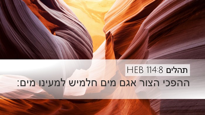 תהלים 114:8 HEB Bible Verse Image