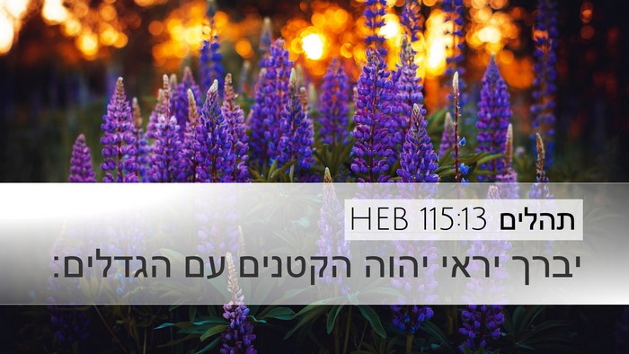 תהלים 115:13 HEB Bible Verse Image