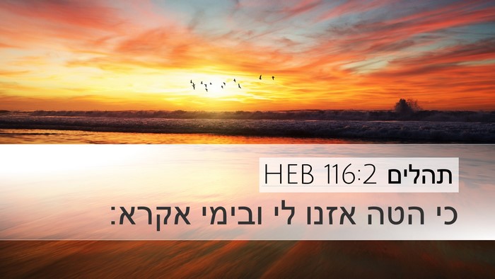 תהלים 116:2 HEB Bible Verse Image