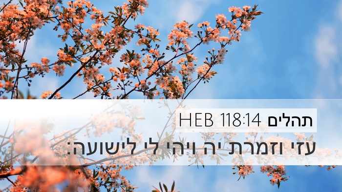תהלים 118:14 HEB Bible Verse Image