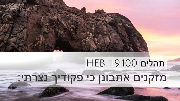 תהלים 119:100 HEB Desktop Wallpaper - מזקנים אתבונן כי פקודיך - Desktop Bible Verse Wallpaper