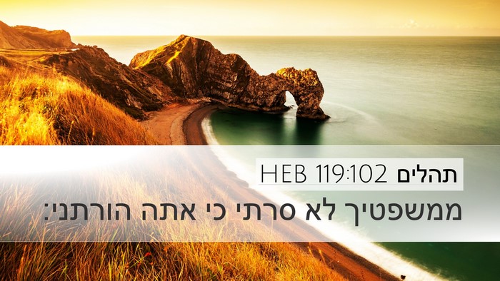 תהלים 119:102 HEB Bible Verse Image