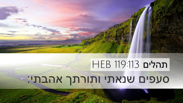 תהלים 119:113 HEB Desktop Wallpaper - סעפים שנאתי ותורתך - Desktop Bible Verse Wallpaper