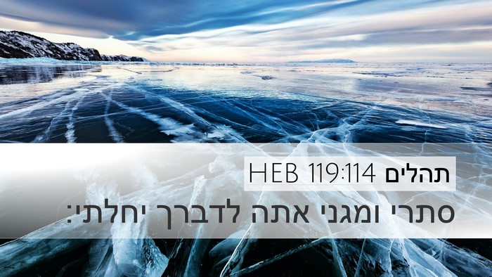 תהלים 119:114 HEB Bible Verse Image