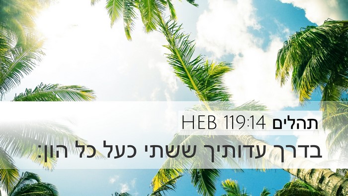 תהלים 119:14 HEB Bible Verse Image