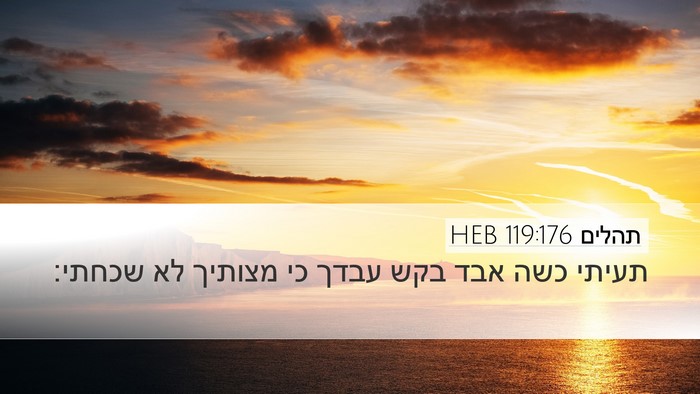תהלים 119:176 HEB Bible Verse Image
