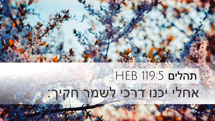 תהלים 119:5 HEB Bible Verse Image
