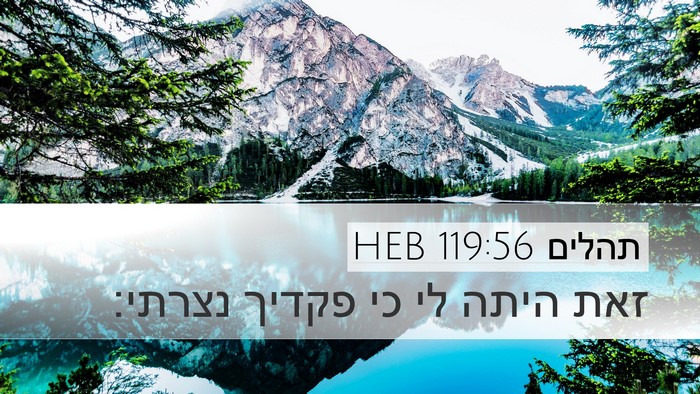 תהלים 119:56 HEB Desktop Wallpaper - זאת היתה לי כי פקדיך - Desktop Bible Verse Wallpaper