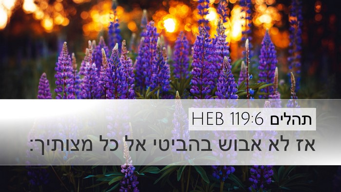 תהלים 119:6 HEB Bible Verse Image